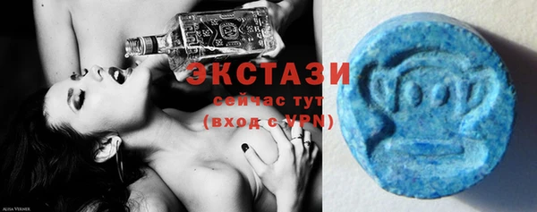 стаф Алексин