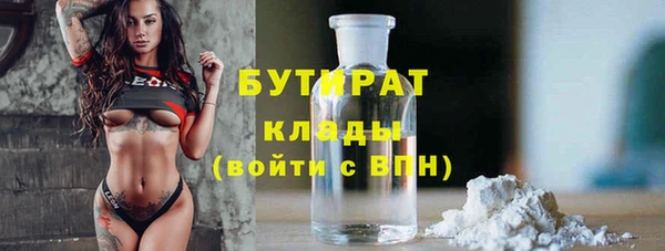 стаф Алексин