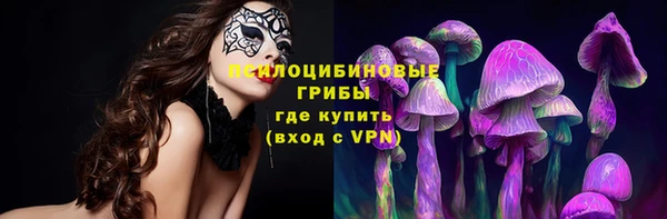 СК Алзамай