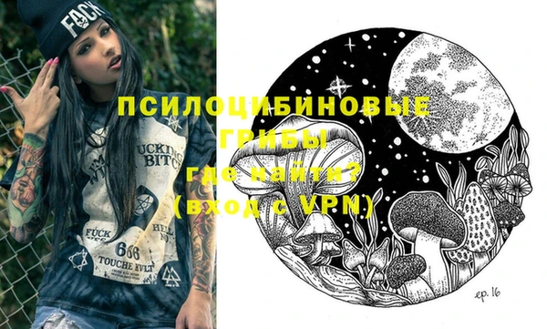 стаф Алексин