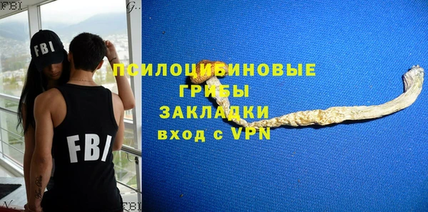 стаф Алексин