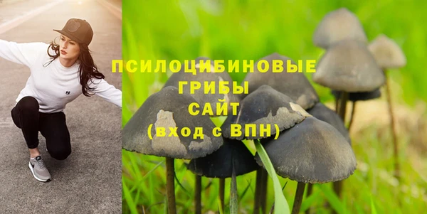 стаф Алексин